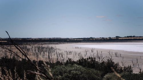 A view of a salt lake
