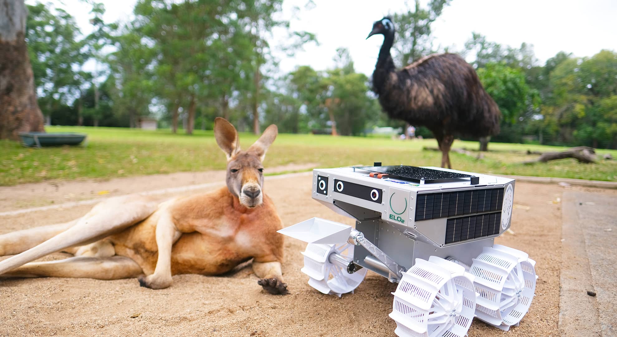 A kangaroo, a lunar rover and an emu.