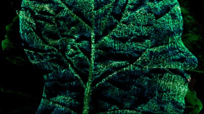 Green and black image of human silhouette