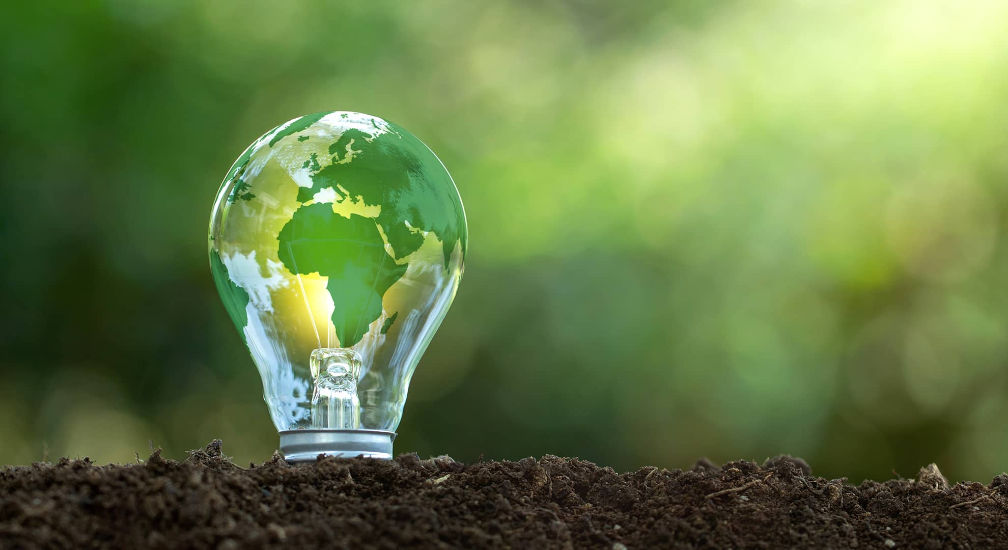 A lightbulb growing out of the ground.