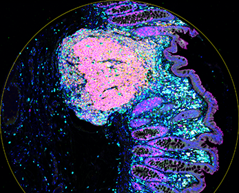 Phenocycler-Fusion set up on bench with white background