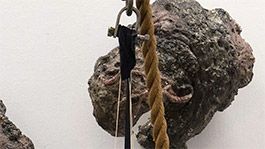 Visual Arts and Photomedia at ECU's School of Arts and Humanities