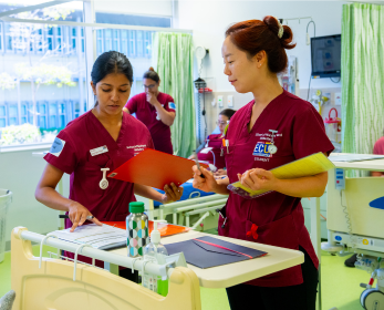 Nursing students studying 