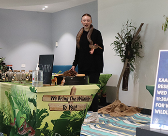 The team at West Oz Wildlife confidently handle their reptiles.