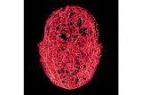 Red and black image of human brain
