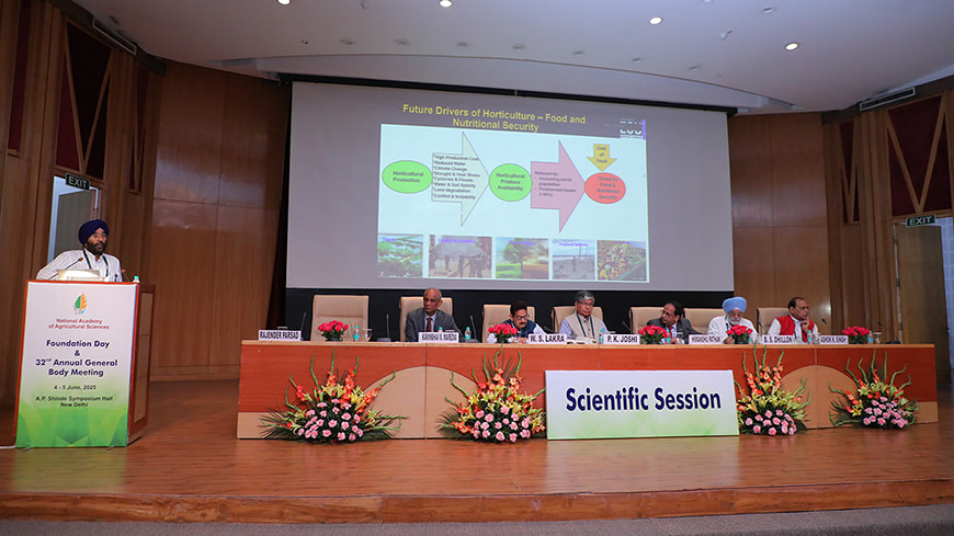 Presenting at a conference