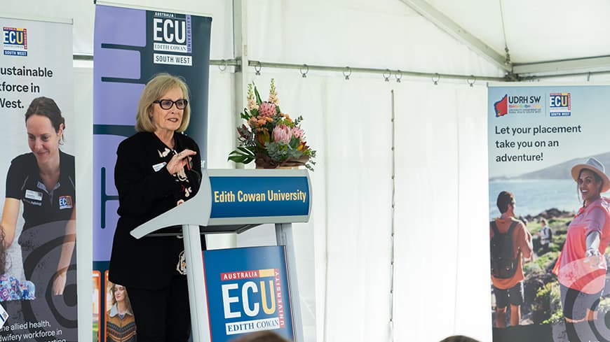 UDRH SW Director Professor Beth Armstrong.