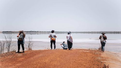 5 people looking out across hypersaline Lake Dumbleyung