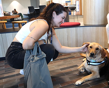 ECU’s wellness dog Edi with a student at the Joondalup Campus Library.