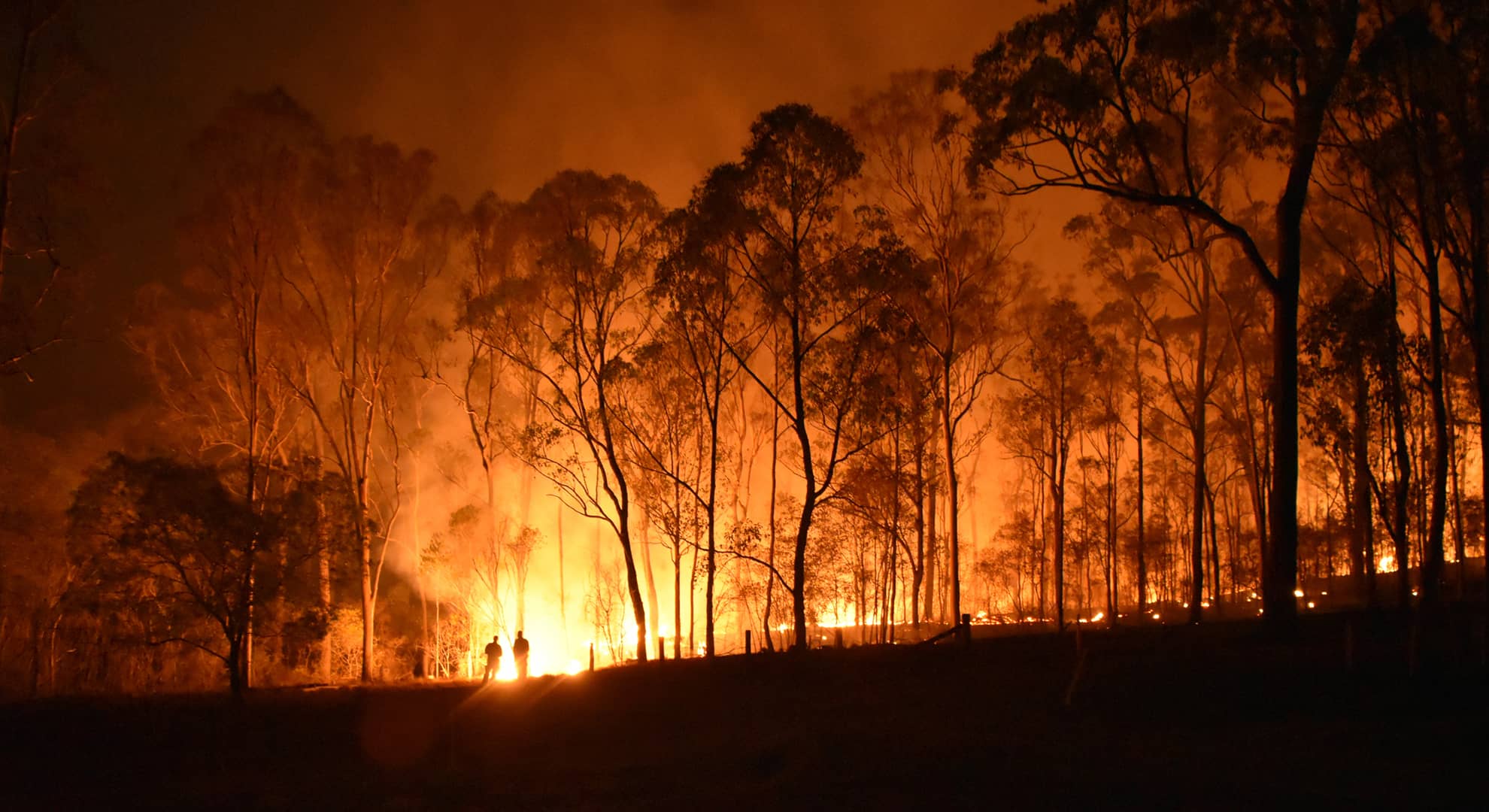 Bushfire image