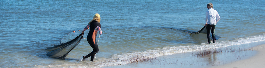 Two people on the shoreline holding a net that's in the sea