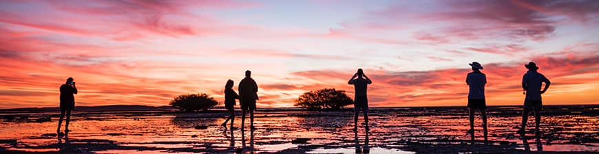 A group of people spread out across a beach at sunset