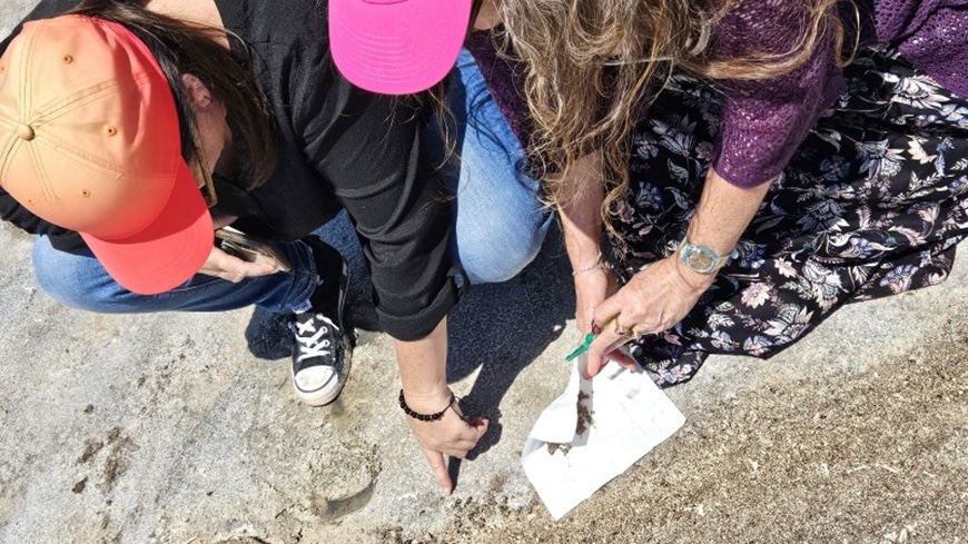 two people squatting and pointing at the sand