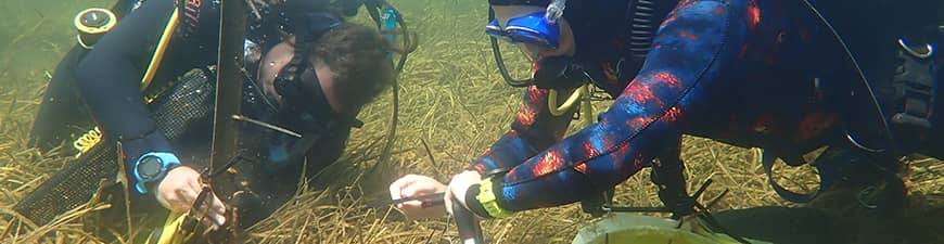 two divers underwater studying the seabed