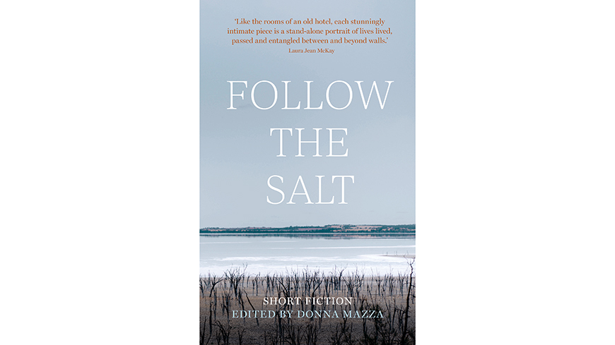 Front cover of the book Follow The Salt