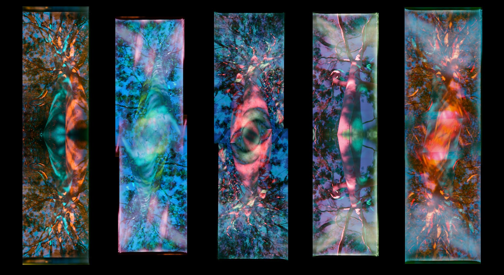 Holographic artwork by Dr Martina Mrongovius.