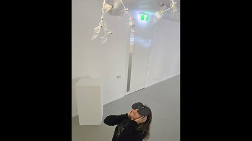 Woman looking up at leaf tree wearing glasses