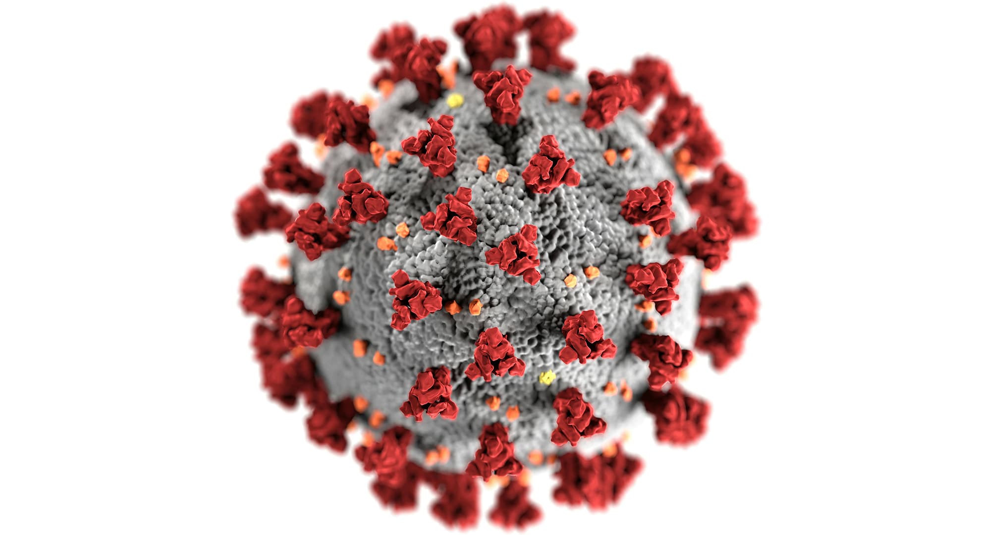 A rendered image of the Covid virus