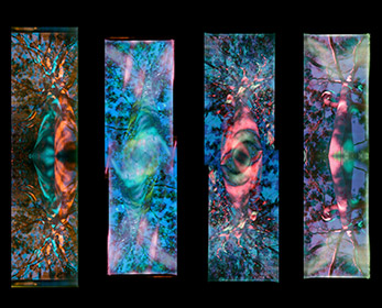 Colourful holographic artworks in gallery